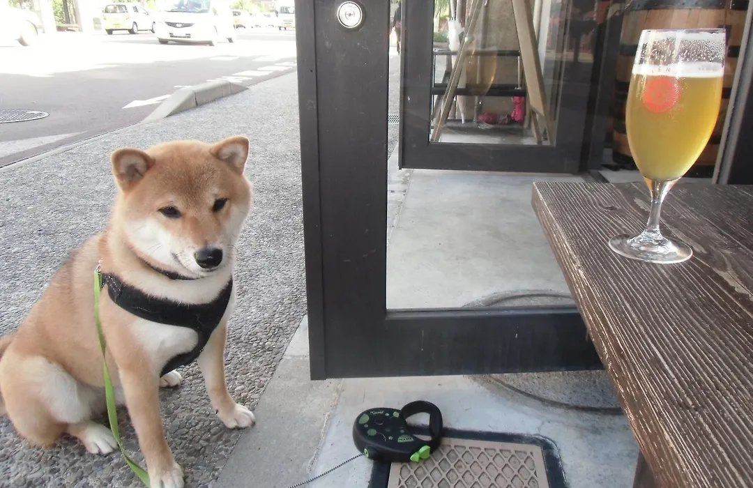 Kanazawa Share House Gaooo-1
